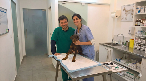 Veterinaria dell'Ambulatorio Le Mura con un cane durante la visita